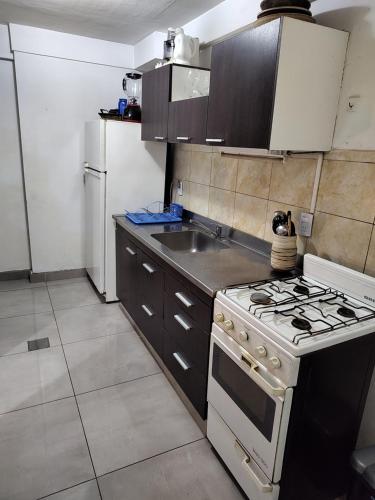 a kitchen with a stove and a sink at SANFER CENTER 2 in San Fernando