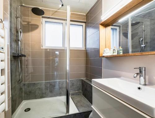 een badkamer met een douche en een wastafel bij Cosy flat in Strasbourg with an access to tramway - Appartement confortable sur ligne de tram de Strasbourg in Bischheim