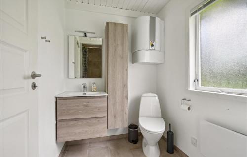 y baño con aseo, lavabo y espejo. en Nice Home In Hemmet With 3 Bedrooms And Wifi, en Falen