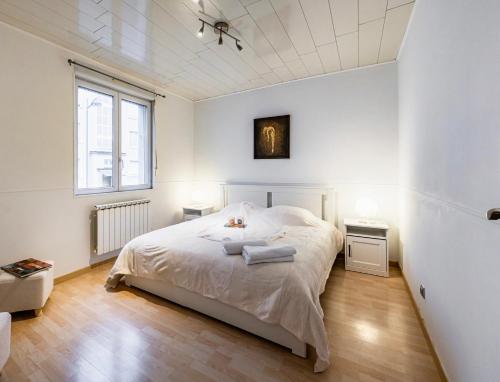 een witte slaapkamer met een groot bed en een raam bij Cosy flat in Strasbourg with an access to tramway - Appartement confortable sur ligne de tram de Strasbourg in Bischheim