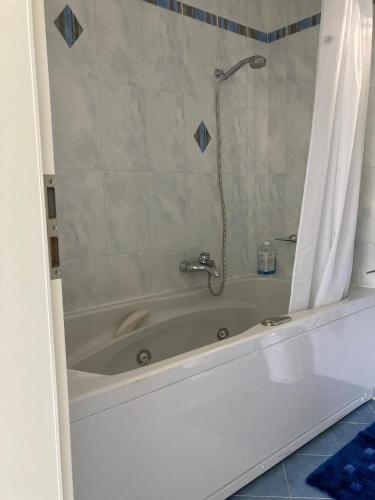 a bathroom with a bath tub with a shower at Tarta-Loft in Minusio