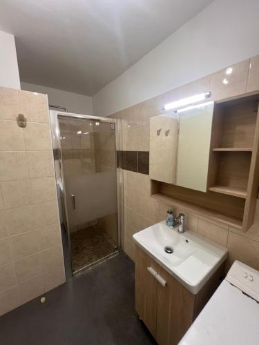 łazienka z białą umywalką i prysznicem w obiekcie Appartement unique dans le domaine de la sangliere w mieście Bormes-les-Mimosas
