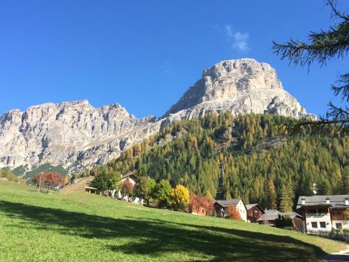 a mountain in front of a green field with houses at Pensione Haus Erica in Colfosco