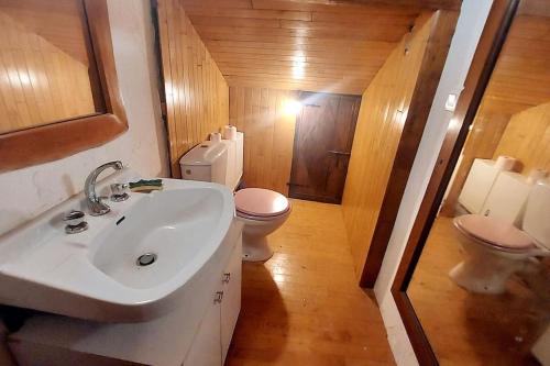 ein Bad mit einem Waschbecken und einem WC in der Unterkunft Chalet L'Arbizon Campan in Campan
