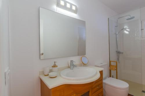 een badkamer met een wastafel, een toilet en een spiegel bij La maison dans la calanque 1 mn à pied de la plage d'ALCAUFAR 