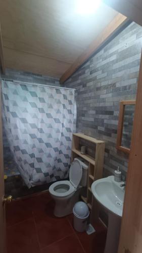 a bathroom with a toilet and a sink at Cerro Nevado in Puerto Tranquilo