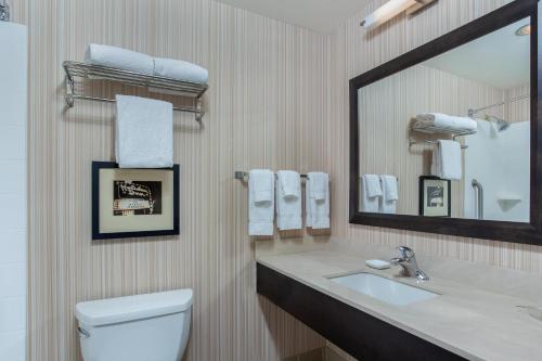 a bathroom with a sink and a mirror and a toilet at Holiday Inn Louisville Airport - Fair/Expo, an IHG Hotel in Louisville