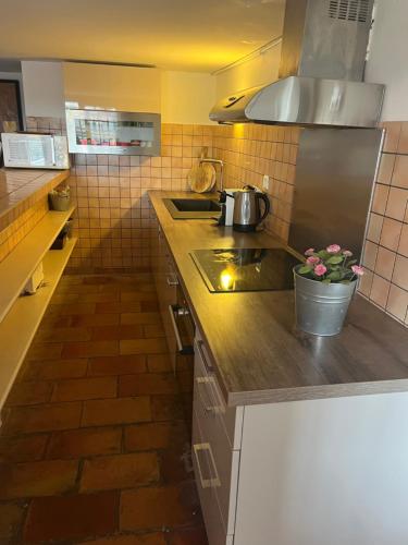 - une cuisine avec un comptoir et un pot dans l'établissement maison Moliere, à Aix-en-Provence