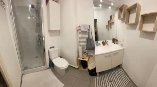 a bathroom with a shower and a toilet and a sink at La Belle Échappée à Montreuil in Montreuil