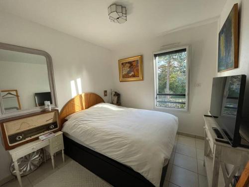 a bedroom with a bed and a television and a mirror at T3 de 68m2 avec jardin, à 5mn gare et centre ville in Nantes
