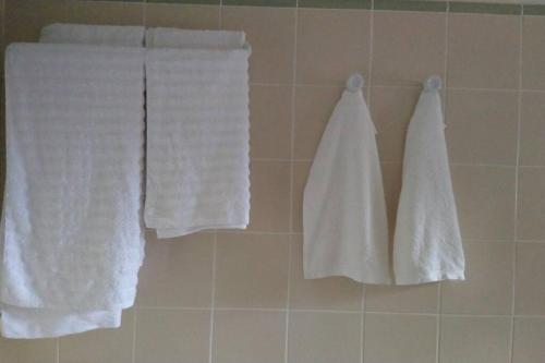 three towels hanging on a wall in a bathroom at La Fricatour au Domaine de Brandeau in Blasimon