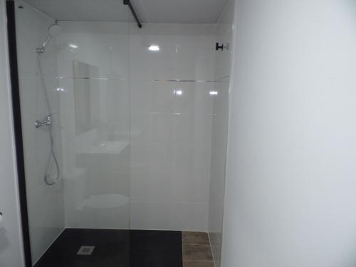 a shower with a glass door in a bathroom at Apartamento Buen Dia airport Malaga- playa-Torremolinos in Málaga