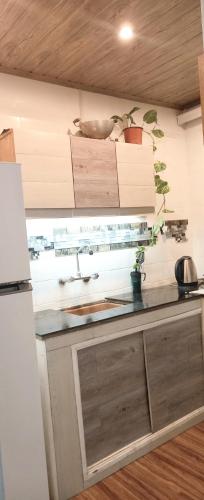 eine Küche mit einer Spüle und einer Arbeitsplatte in der Unterkunft Apartamento esq Rambla y centrico in Montevideo