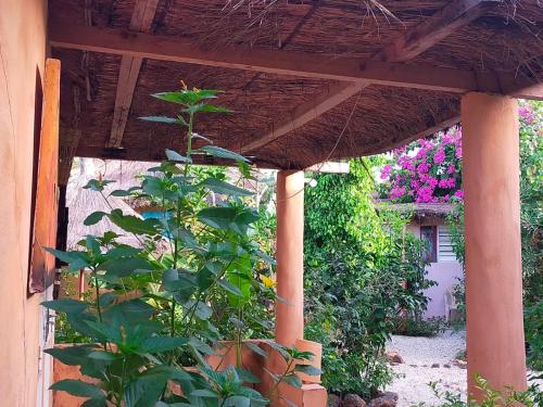 a wooden pergola with a plant in a garden at Campement Baobab chambres d'hotes 15mn de l'aeroport in Poponguine