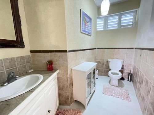 łazienka z umywalką i toaletą w obiekcie Del Marie Studio Apt w mieście Saint Philip
