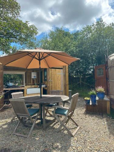 a picnic table with an umbrella in a backyard at The Yurt @ Penbanc Pasture in Cardigan
