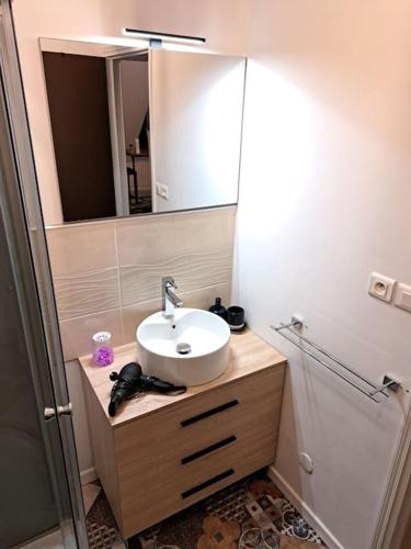 une salle de bain avec un lavabo et un miroir dans l'établissement Confortable Studio Rénové, à Cambrai