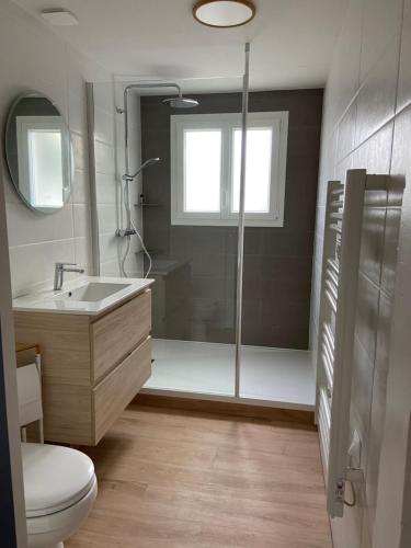 une salle de bain avec une douche, des toilettes et un lavabo dans l'établissement Maison 4 personnes avec Jardin, à 200 m de la Plage, à Fouras
