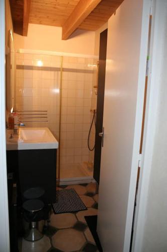 une salle de bain avec une douche, un lavabo et des toilettes dans l'établissement Penty Kael, à Crozon