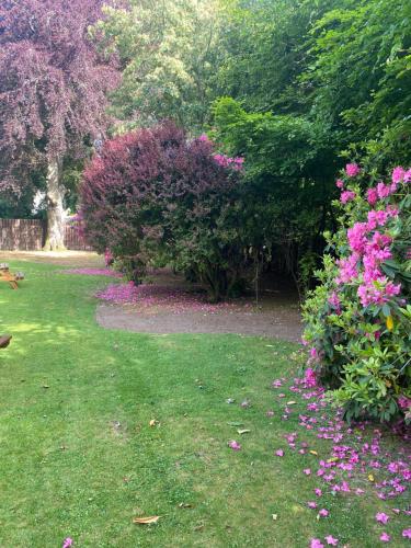 a garden with pink flowers in the grass at Bennachie Lodge Hotel in Kemnay in Inverurie