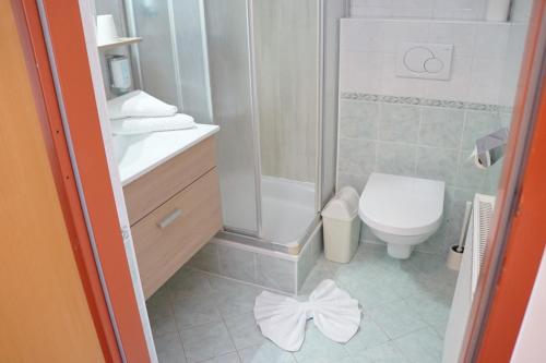ein Badezimmer mit einem WC und einer Dusche mit einer Schleife auf dem Boden in der Unterkunft Hotel Hudelist in Krumpendorf am Wörthersee