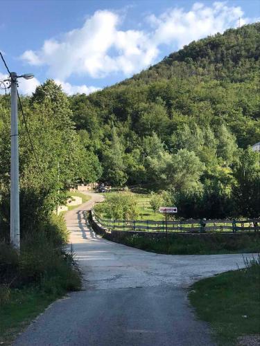 une route sinueuse avec une montagne en arrière-plan dans l'établissement Nice&cosy cabin, à Cetinje
