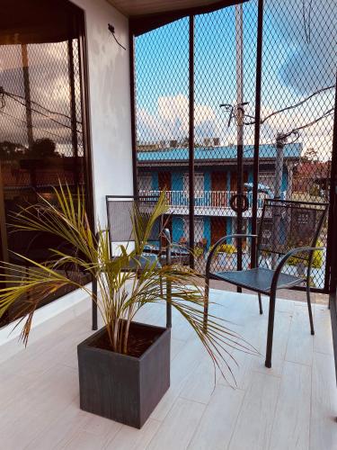 a patio with two chairs and a potted plant at Casa Macaw in Fortuna