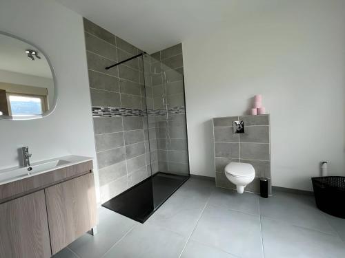 a bathroom with a toilet and a sink and a mirror at La Chaleureuse - Centre Parigné - 5p - Rêve au Mans in Parigné-lʼÉvêque