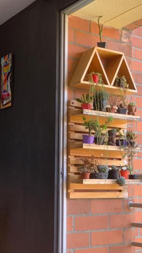 a wall with a bunch of potted plants on it at Apartamento amoblado nuevo in Pereira