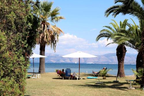 a beach with palm trees and people sitting under umbrellas at Irini Apartments and Studios in Kavos
