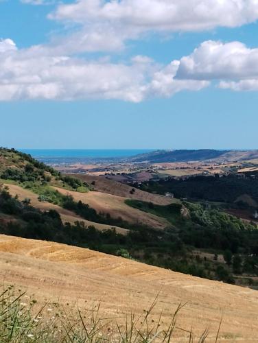 Minicasa nella fattoria