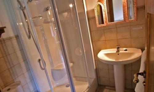 y baño con ducha y lavamanos. en Apartamento Rural El Herrero vistas espectaculares a Gredos, en Cabezas Bajas