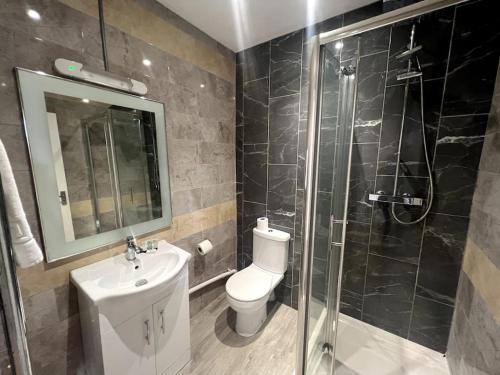 La salle de bains est pourvue de toilettes, d'un lavabo et d'une douche. dans l'établissement Luxury Suite in Colchester Town Centre By Station, à Colchester