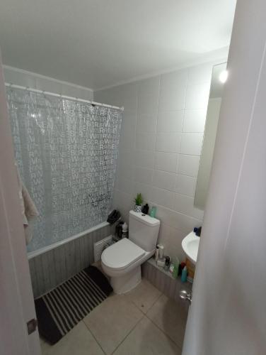 een badkamer met een toilet, een douche en een wastafel bij Dpto cerca hospital regional de Rancagua in Rancagua
