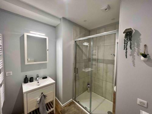 une salle de bain avec une douche en verre et un lavabo dans l'établissement Appartement Climatisé / Centre-ville / 4 personnes, à Besançon