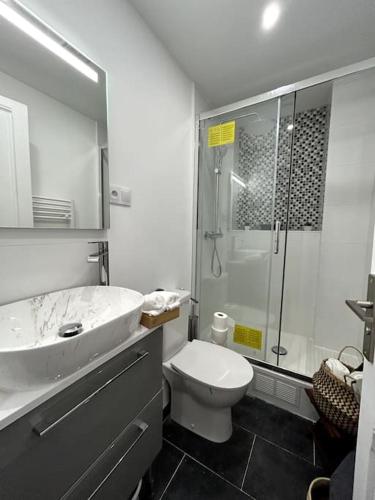 une salle de bain avec un lavabo, des toilettes et une douche dans l'établissement Appartement proche de PARIS au centre ville tout confort, à Livry-Gargan