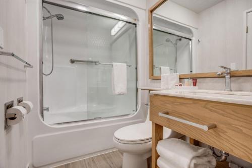 a bathroom with a shower and a toilet and a sink at Split Rock Resort in Lake Harmony