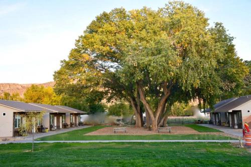 a tree in the middle of a park with benches at Bunkhouse 3B With Full Bath in La Verkin