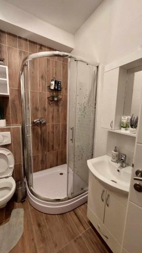 une salle de bain avec une douche, des toilettes et un lavabo dans l'établissement Apartman Jereza Prijedor, à Prijedor