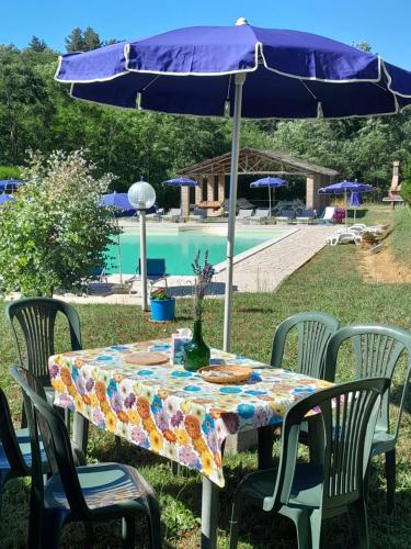 Poggio dei Michelazzi – Photos 3
