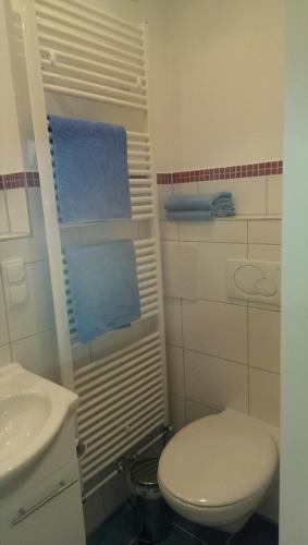 a bathroom with a white toilet and a sink at Humboldtruh in Weitersburg