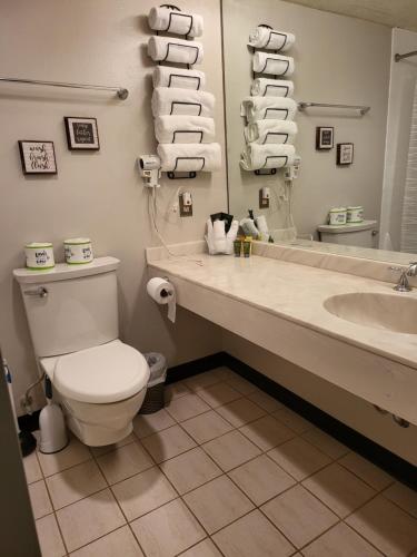a bathroom with a toilet and a sink and a mirror at Cedar Lodge Room w/ Lake Views! in Laconia