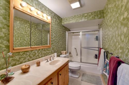 a bathroom with a sink and a toilet and a shower at Spacious Finger Lakes Home with Mountain Views 
