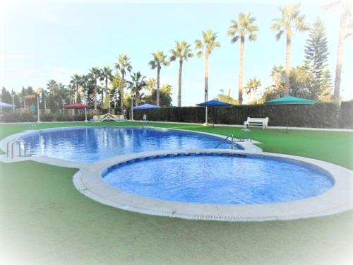 a large swimming pool in a park with palm trees at Apartamentos varios con 2 dorm en Marina Dor , la playa de Amplaries 47 , vista lateral al mar in Oropesa del Mar