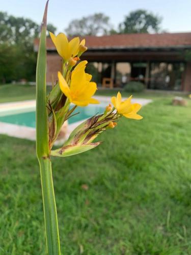 Casa en el golf – Photos 2