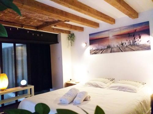 格勒諾布爾的住宿－Le Paisible - Gare - Duplex - Garage privé - Netflix，卧室配有一张床,墙上挂有绘画作品