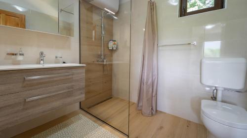a bathroom with a shower and a sink and a toilet at Kuća za odmor Zeleni san in Lič