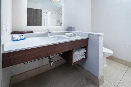 uma casa de banho com um lavatório e um WC em Holiday Inn Express & Suites - Florence - Cincinnati Airport, an IHG Hotel em Florence