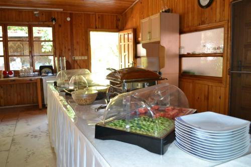 a kitchen with a counter with food on it at Olympos Doga Pansiyon in Olympos