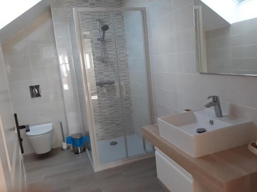 a bathroom with a shower and a sink and a toilet at Comme à la maison prés des châteaux de la Loire in Feings
